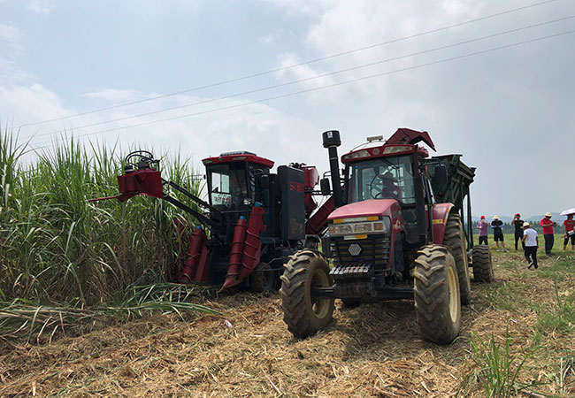 حصادة قصب السكر في البرازيل