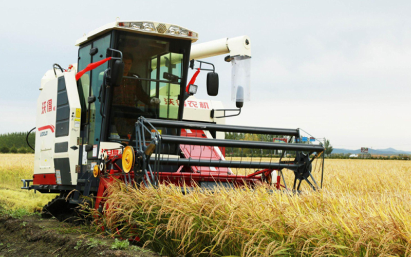 تعمل حاليًا آلة الحصاد التي تم تصنيعها بواسطة FMWorld في أحد حقول الأرز.