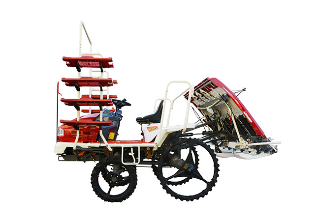 آلة زراعة الأرز للركوب FMWORLD - 6 صفوف (2ZGF-6A)